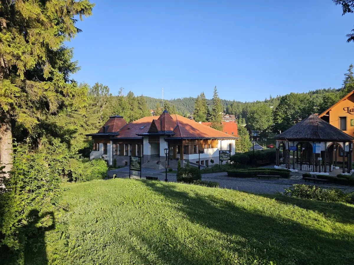 Vila și grădina