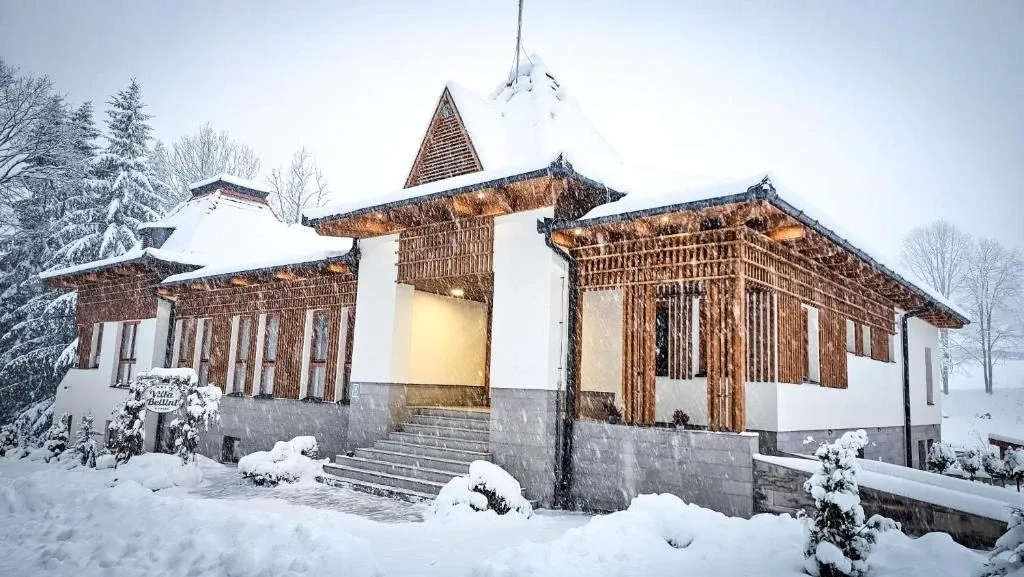 Vila Bellini iarna, în ninsoare
